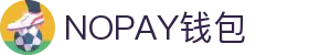 NOPAY钱包 - 数字钱包支付平台|安全便捷的移动支付